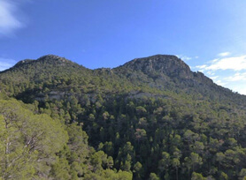 Sierra del Carche